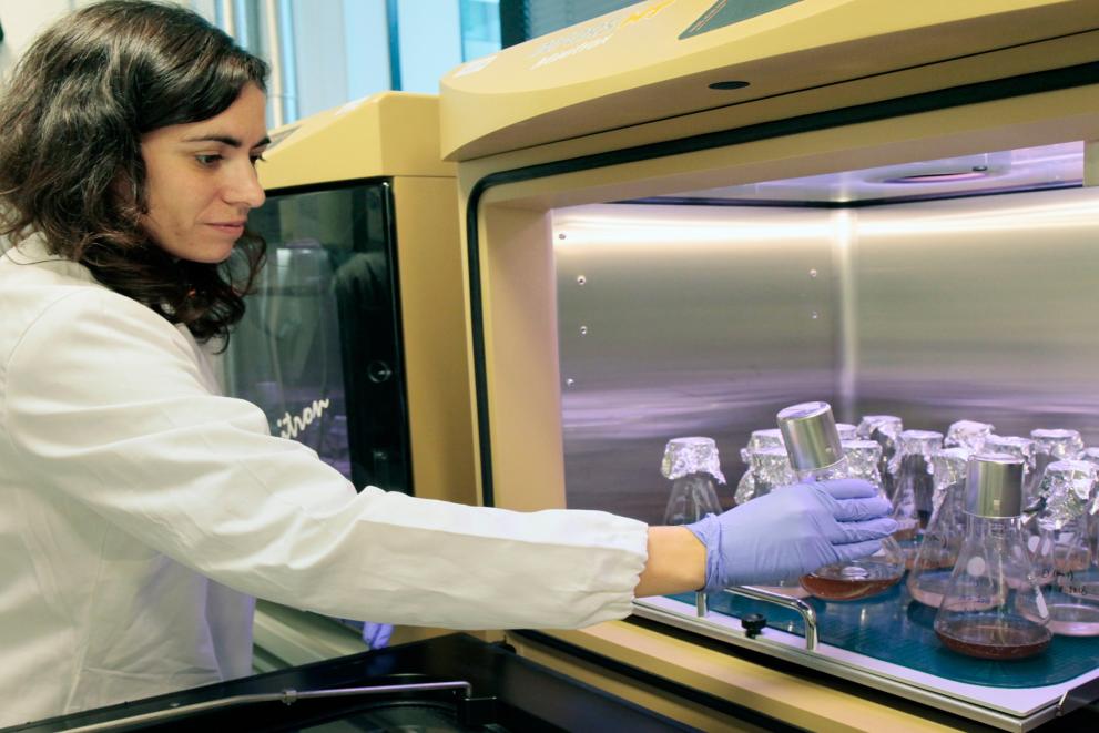 Molecular ecotoxicology