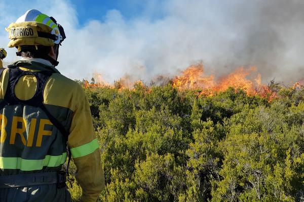 A burn exercise by the Spanish reinforcement brigade for forest fires